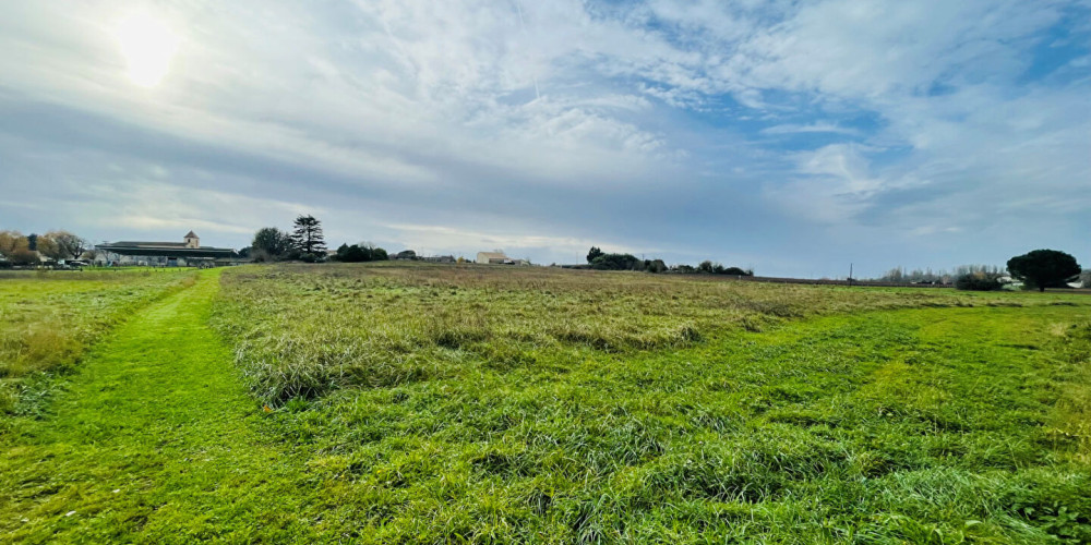 terrain à ANGLADE (33390)