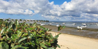 appartement à ARCACHON (33120)
