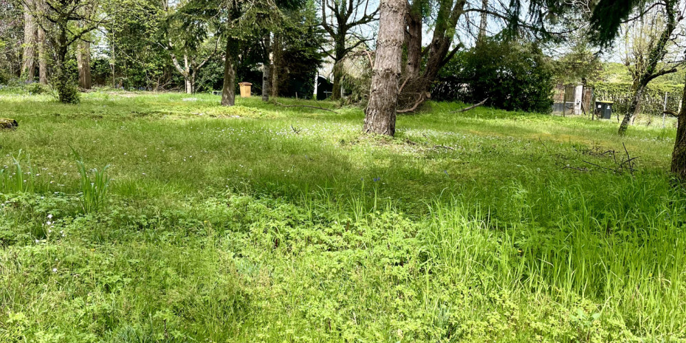 terrain à ST DENIS DE PILE (33910)