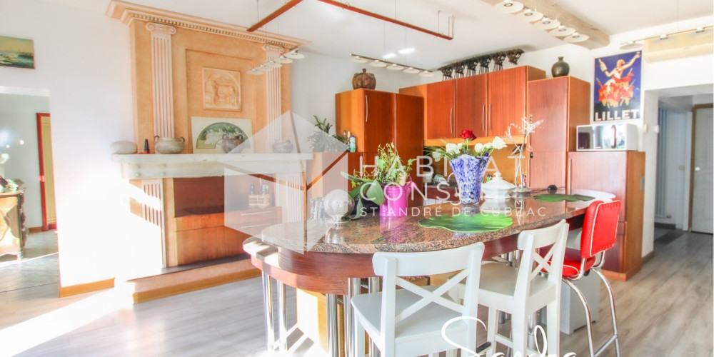 maison à BOURG (33710)