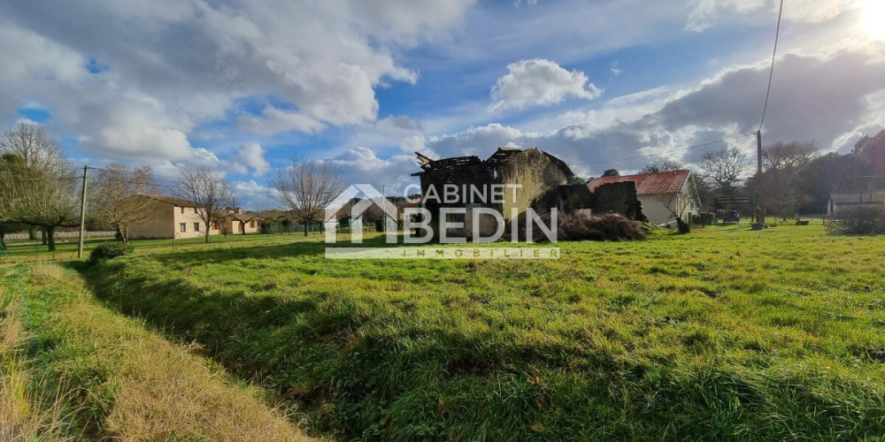 maison à ST MORILLON (33650)