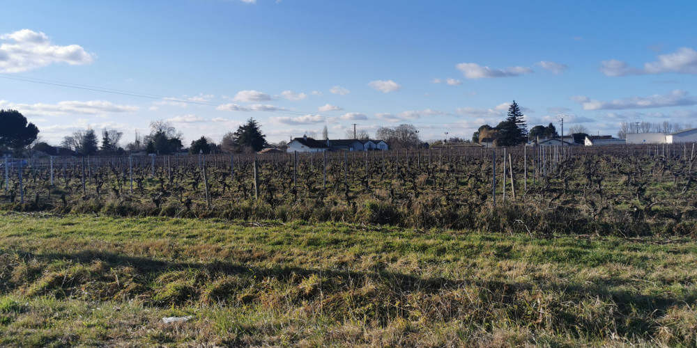 terrain à ST EMILION (33330)