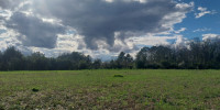 terrain à TABANAC (33550)