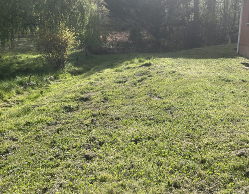 terrain  LA BREDE