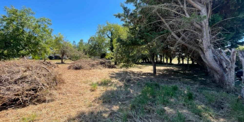 terrain à BASSANNE (33190)