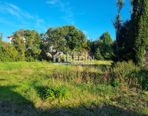 terrain  GUJAN MESTRAS