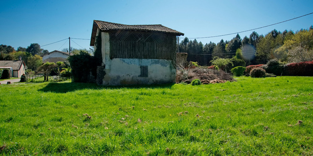 maison à ST MORILLON (33650)