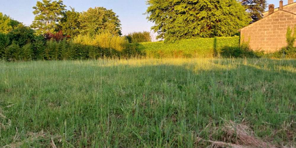 terrain à GALGON (33133)