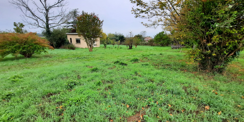 terrain à PELLEGRUE (33790)