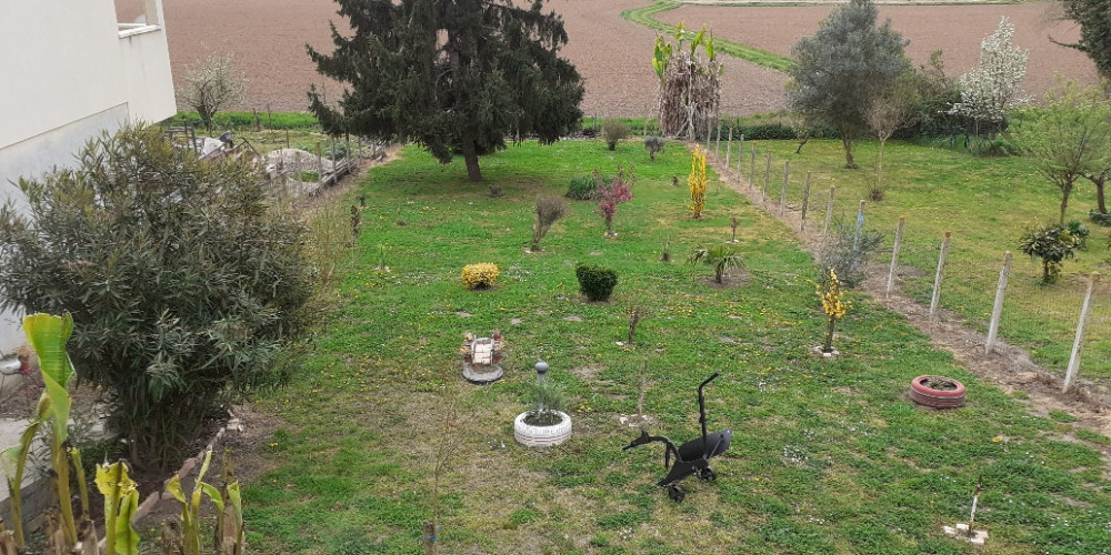 maison à ST MAGNE DE CASTILLON (33350)