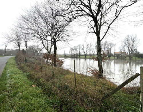 terrain  LES ARTIGUES DE LUSSAC
