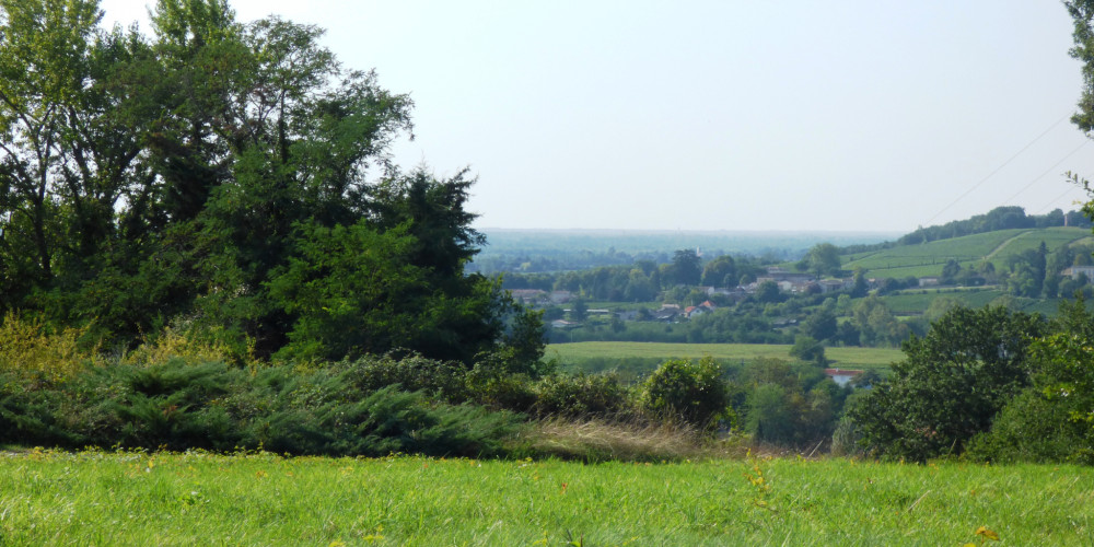terrain à CADILLAC (33410)