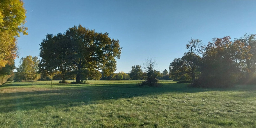 terrain à ST MEDARD DE GUIZIERES (33230)