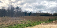 terrain à LAGORCE (33230)