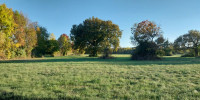 terrain à ST MEDARD DE GUIZIERES (33230)