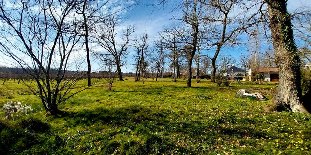 terrain à LANGON (33210)