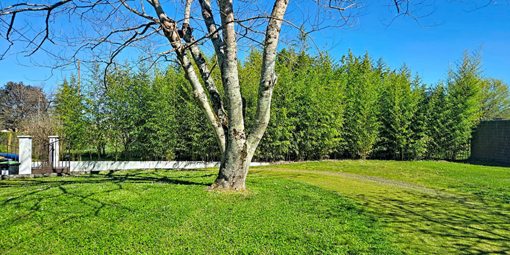 terrain à ST DENIS DE PILE (33910)