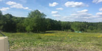 terrain à LIBOURNE (33500)