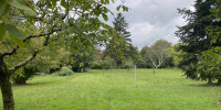 maison à ST DENIS DE PILE (33910)