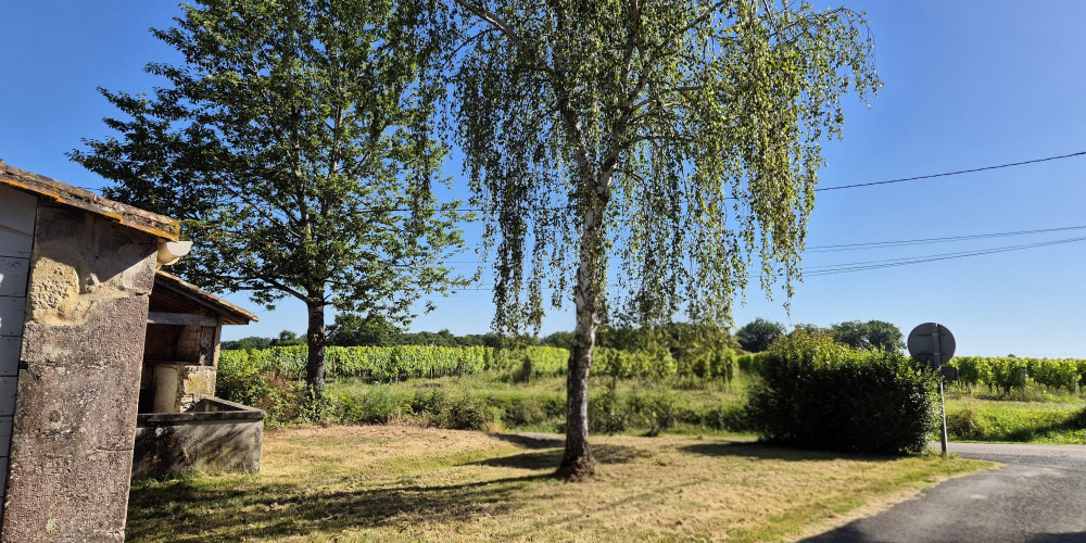 maison à SAUVETERRE DE GUYENNE (33540)