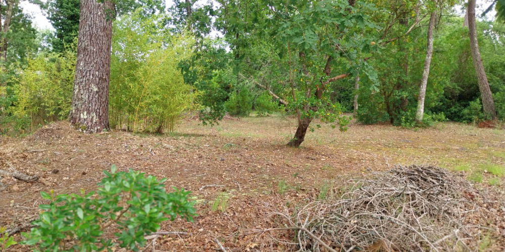 terrain à STE HELENE (33480)