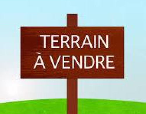 terrain  LANTON