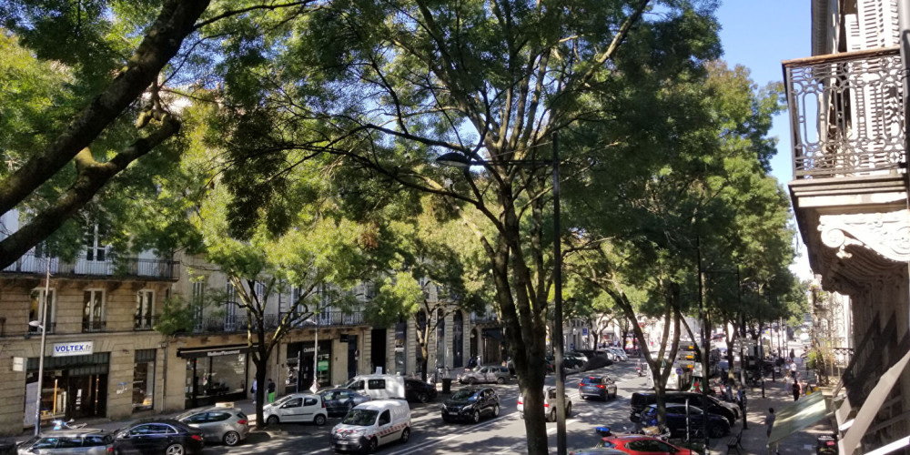 appartement à BORDEAUX (33000)