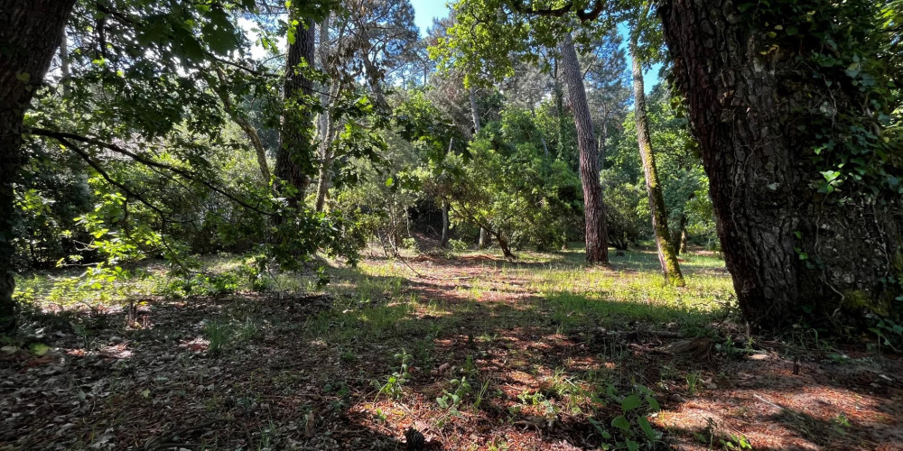 terrain à ARCACHON (33120)