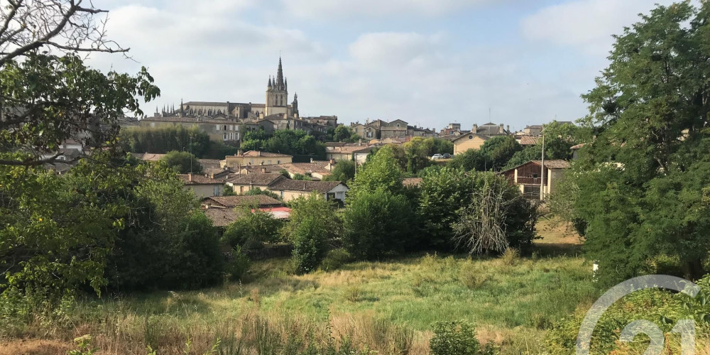 terrain à BAZAS (33430)