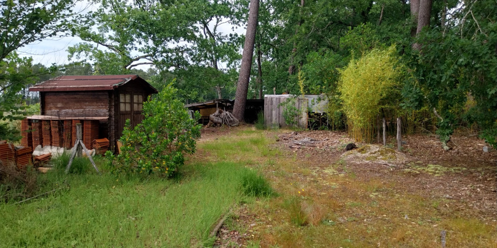 terrain à STE HELENE (33480)