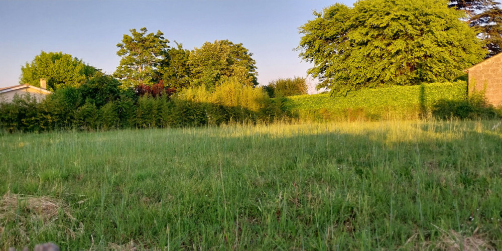 terrain à GALGON (33133)