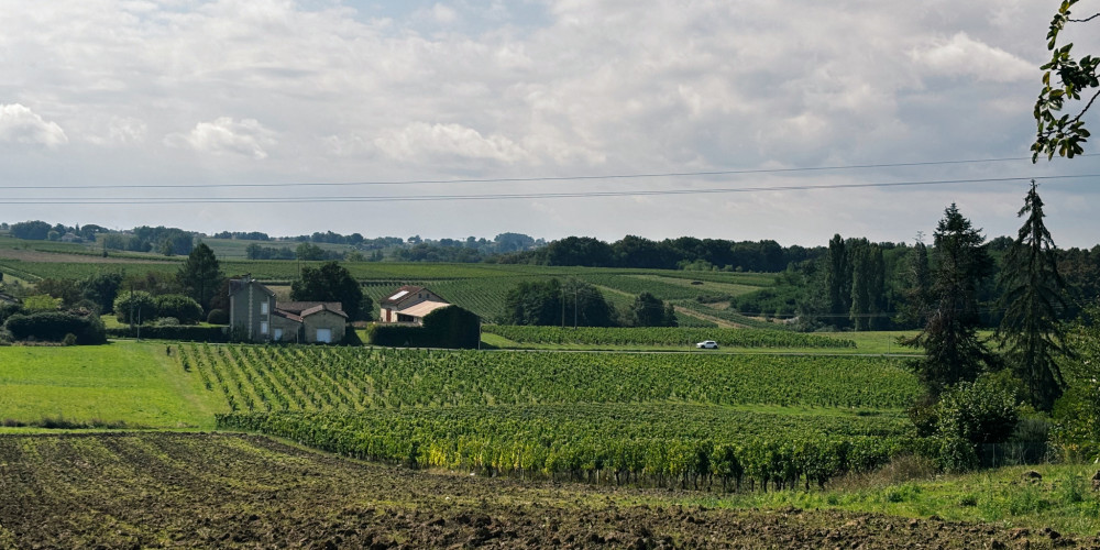 maison à ST GENES DE CASTILLON (33350)