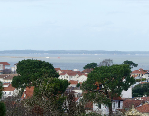 appartement  ARCACHON