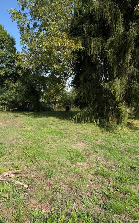 Terrain  BAZAS