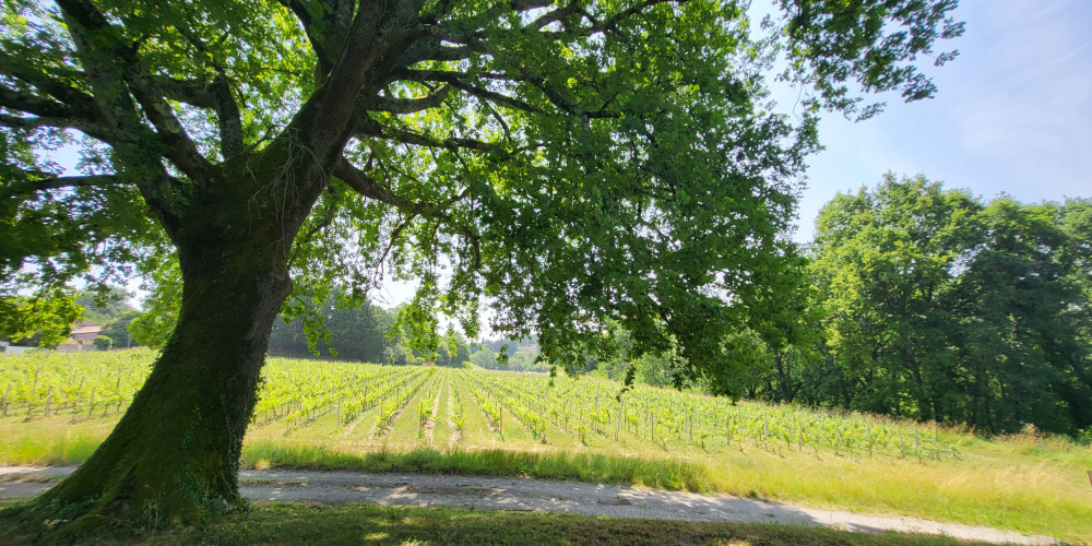 maison à GAURIAC (33710)