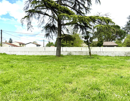 terrain  LIBOURNE