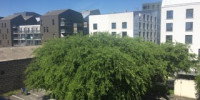 appartement à BORDEAUX (33000)