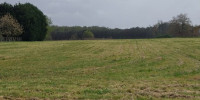 terrain à LES PEINTURES (33230)