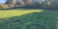 terrain à BELLEBAT (33760)