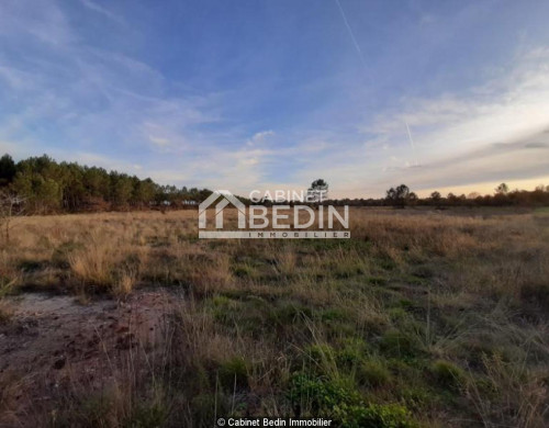 terrain  GUJAN MESTRAS