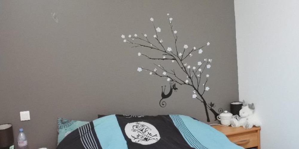 appartement à BARSAC (33720)