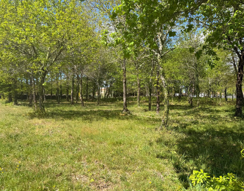 terrain  BELIN BELIET