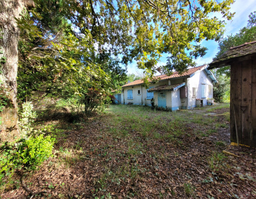 maison  LA TESTE DE BUCH