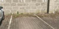 parking à BORDEAUX (33800)