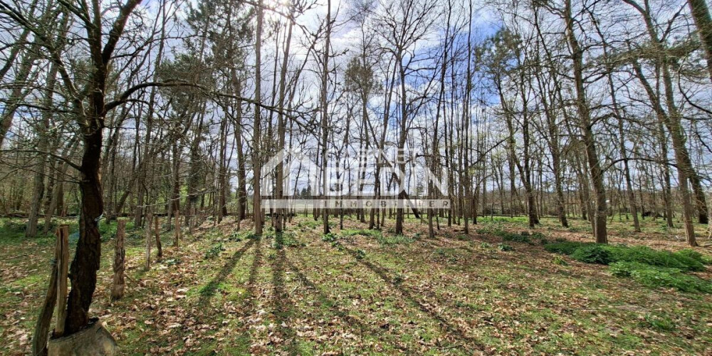 maison à ILLATS (33720)