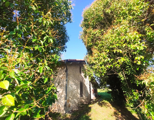 maison  MACAU