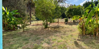 maison à CASTILLON LA BATAILLE (33350)