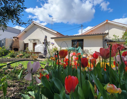 maison  BEGLES