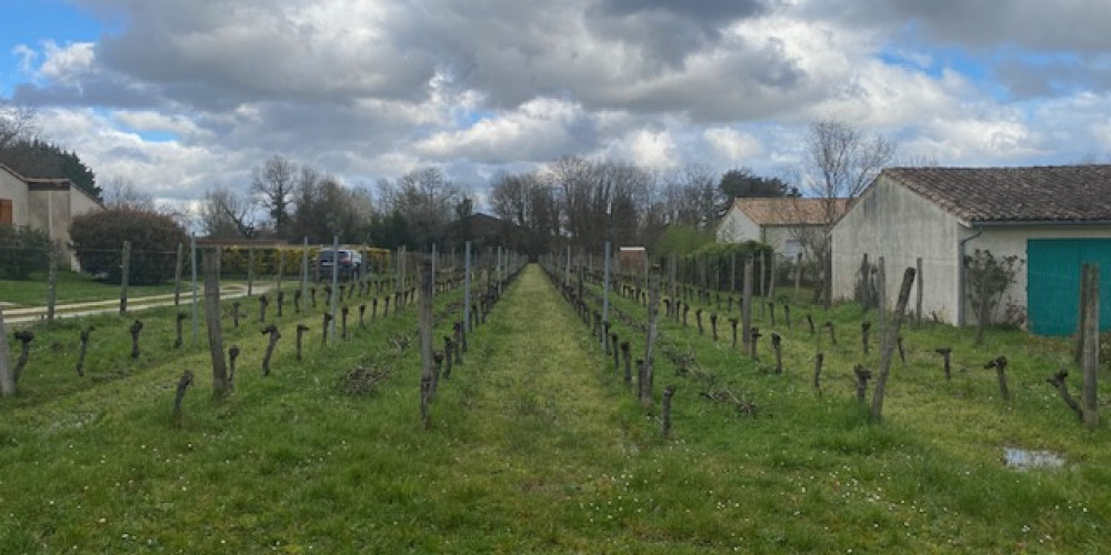 terrain à PERISSAC (33240)