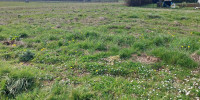 terrain à BAIGNEAUX (33760)